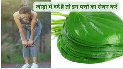 Uric Acid Control: यूरिक एसिड बढ़ा हुआ है तो सुबह खाली पेट इन 3 तरह के पत्तों का काढ़ा पिएं, किडनी डिटॉक्स रहेगी, टॉक्सिन भी यूरीन से निकलेंगे बाहर