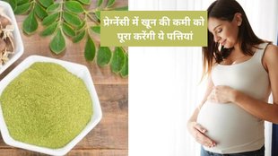 iron and moringa, moringa benefits, why have moringa, indianexpress.com, moringa in pregnancy, moringa leaves benefits for women