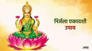 Nirjala Ekadashi 2023 Upay