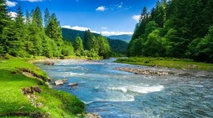 river Nature| Agriculture