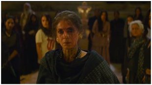 saas bahu aur flamingo review