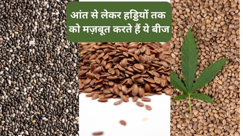 Roasted hemp seeds, Protein content in hemp seeds, Iron and zinc content in hemp seeds, Incorporating all three seeds, Versatility of chia