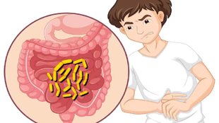 Stomach bugs, pet mein kide hone ke lakshan, stomach bug symptoms,