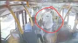 बस कंडक्टर ने किराया मांगा तो उसे पीटने लगी महिला, वीडियो वायरल हुआ तो कहने लगी वह मुझे छेड़ रहा था