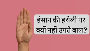 DKK2 । Dickkopf 2 । Hair on Palms and Soles । human body facts