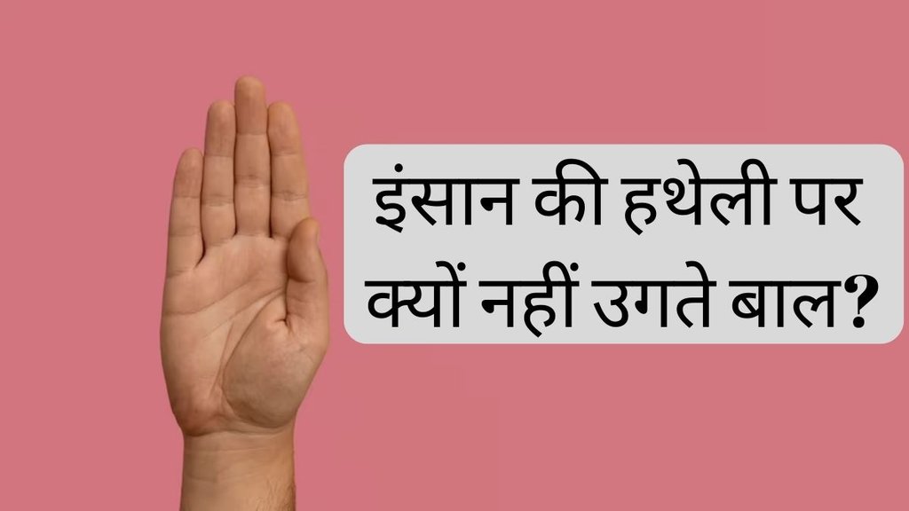 DKK2 । Dickkopf 2 । Hair on Palms and Soles । human body facts