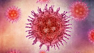Disease X । WHO । Disease X characteristics । next pandemic