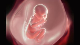Placenta Banking । Umbilical Cord Blood Banking । saving umbilical cord cost । benefits of preserving umbilical cord