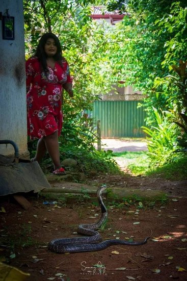 pre wedding photoshoot with snake