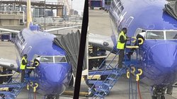 सीढ़ी लगाकर विमान के कॉकपिट तक पहुंचा पायलट, वजह जानकर नहीं रुकेगी आपकी हंसी