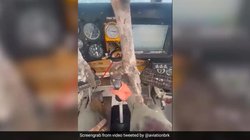 Video : हवाई जहाज से टकराया पक्षी तो हो गया बुरा हाल, खून से लथपथ पायलट ने कराया सुरक्षित लैंडिंग