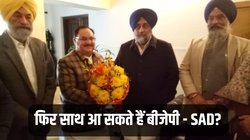 क्या पंजाब में फिर साथ दिखाई देंगे बीजेपी और अकाली? यूं ही नहीं लगाए जा रहे कयास