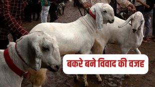 bakrid 2023, bakrid 2023 date, bakrid kab hai
