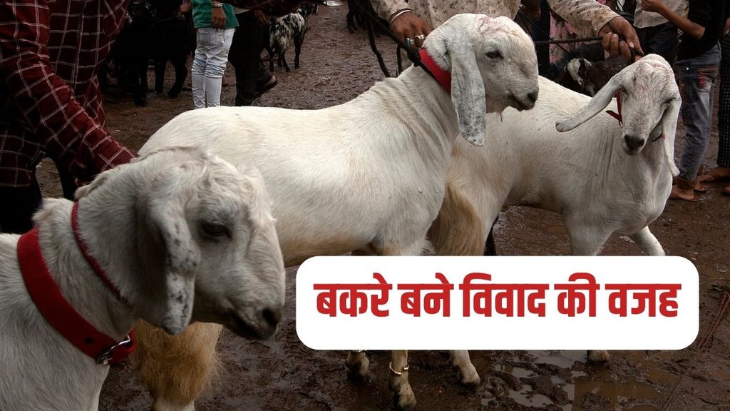 bakrid 2023, bakrid 2023 date, bakrid kab hai bakrid 2023, bakrid 2023 date, bakrid kab hai