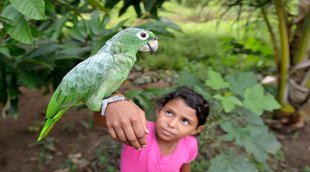 Bird | Human