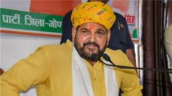 पहलवान कुछ भी कर लें, WFI अध्यक्ष बनेगा वही जिस पर होगा बृजभूषण शरण सिंह का हाथ! समझिए चुनाव का पूरा गणित