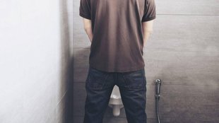 Chinese II JOb II News