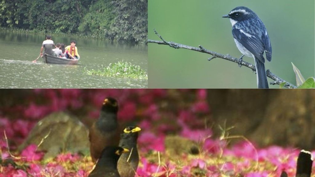 Dunia mere aage Dunia mere aage