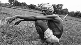 Farmer | Poverty