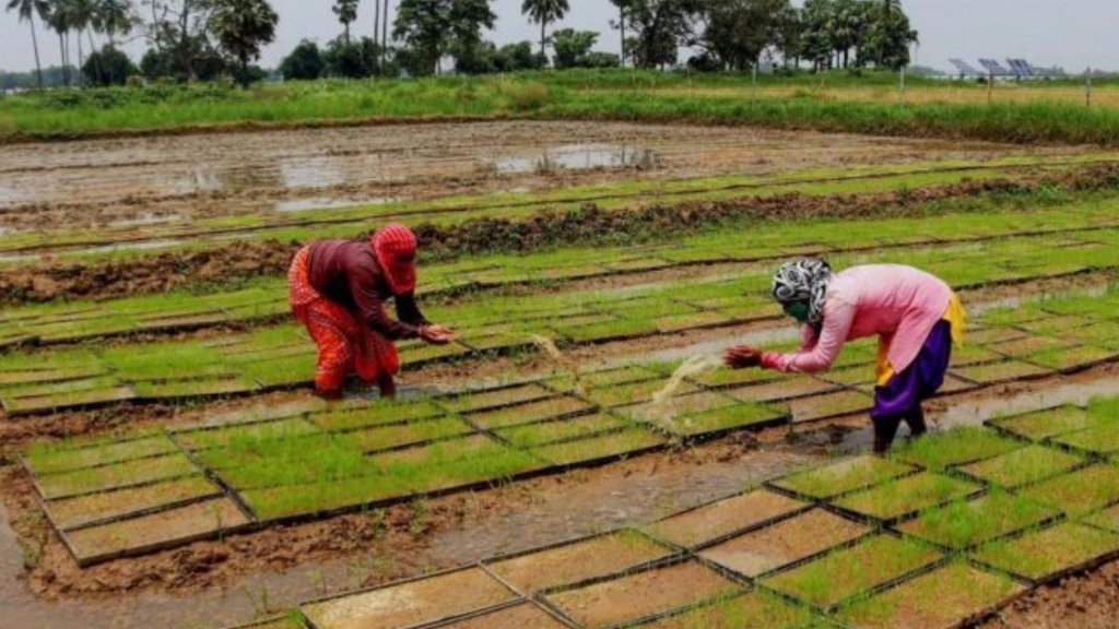 Farmer | PM Modi | Uttar Pradesh