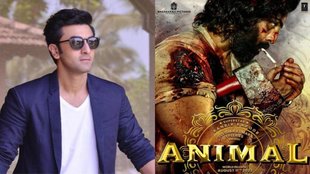 ranbir kapoor, animal,