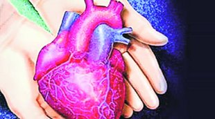 Heart | Transplant