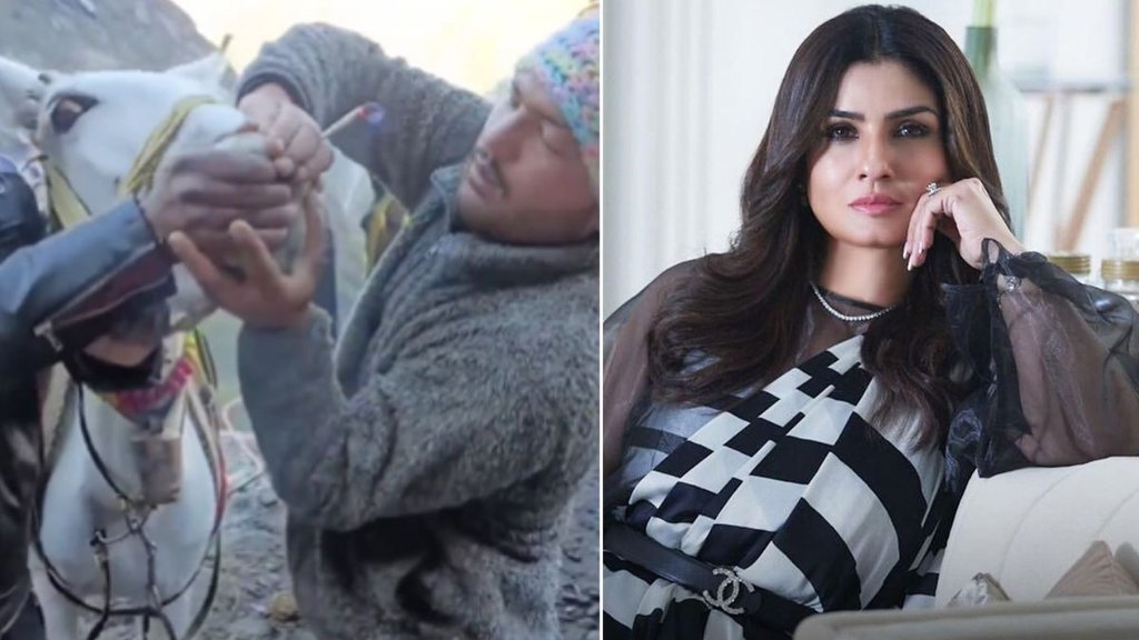 Kedarnath Yatra Raveena Tandon gets Angry on Viral video
