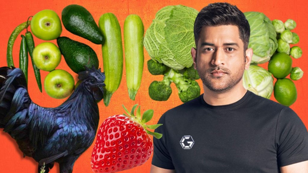 MS Dhoni