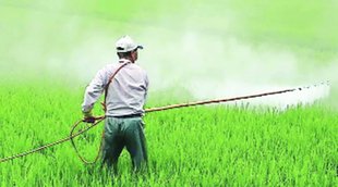 Pesticide, |farmer