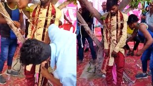 Pratapgarh II Wedding II news