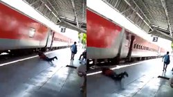 तेज रफ्तार ट्रेन से प्लेटफोर्म पर गिरा शख्स, 100 मीटर तक घिसटने के बाद उठ खड़ा हुआ; वीडियो देख हैरान लोग