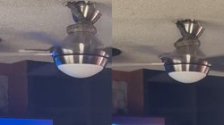 चलते पंखे के ऊपर बैठा सांप शख्स के ऊपर गिरा, वीडियो देख निकल जाएगी चीख