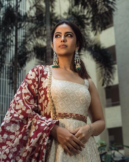 Avika Gor on south cinema