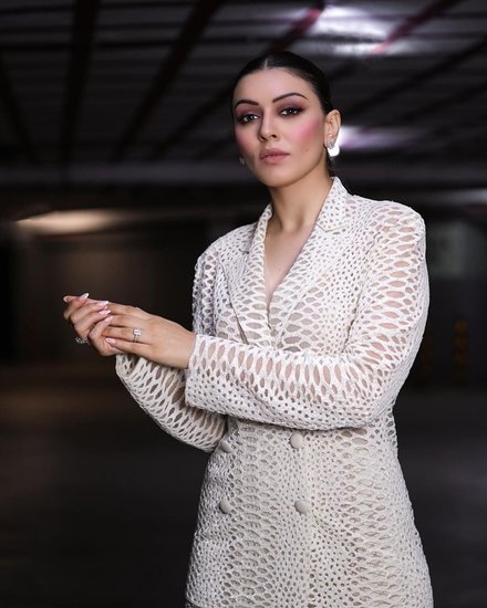 Hansika motwani south movies