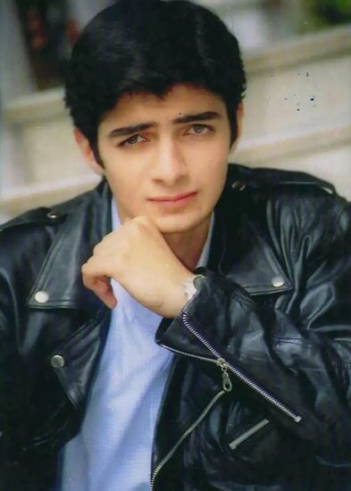 vivek mashru professor