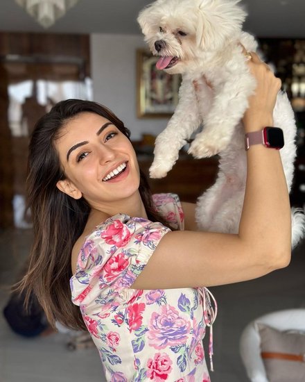 actress hansika motwani