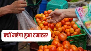 tomato price, tomato price delhi, tomato price today