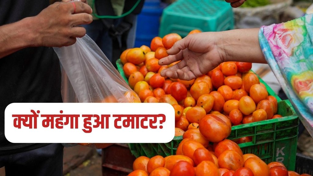 tomato price, tomato price delhi, tomato price today