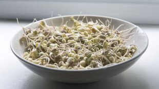 Sprouts Side Effects । right way to eat sprouts । how to eat sprouts । when to eat sprouts । disadvantages of eating raw sprouts