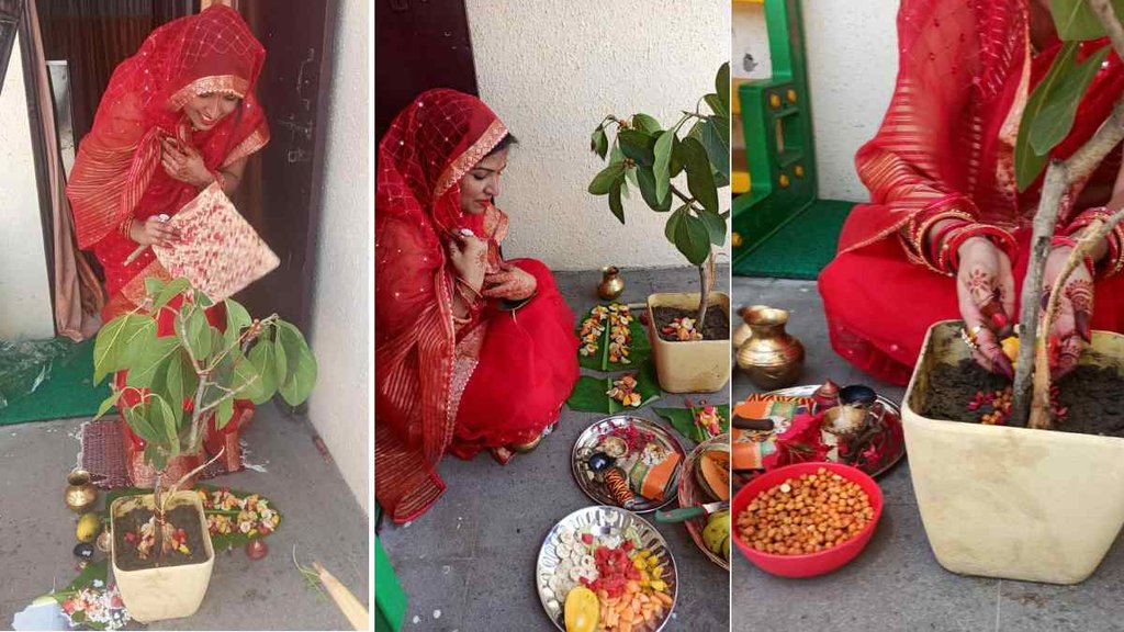 Vat Savitri Purnima 2023, Vat Savitri Purnima Vrat 2023 Date