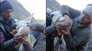 Viral News II Kedarnath II Peta