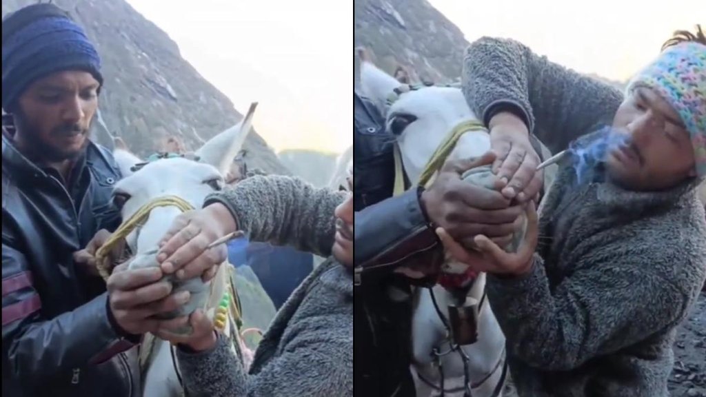 Viral News II Kedarnath II Peta