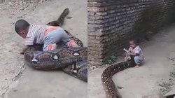 ‘अजगर’ के साथ खेलते बच्चे का वीडियो हो रहा वायरल, आ रहे ऐसे रिएक्शन