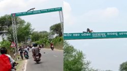 नशे में धुत शख्स साइनबोर्ड पर चढ़ करने लगा पुशअप, वायरल वीडियो पर मजे ले रहे लोग