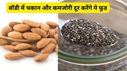 भरपूर आराम करते हैं फिर भी हर वक्त थके-थके रहते हैं तो आज ही इन फूड्स को करें डाइट में शामिल, आलस और थकान होगी छूमंतर