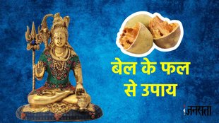 astro tips of Bilva fruit