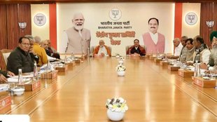 BJP | PM Modi | loksabha|