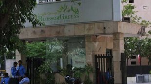 blossom green society| mayawati| mayawati brother