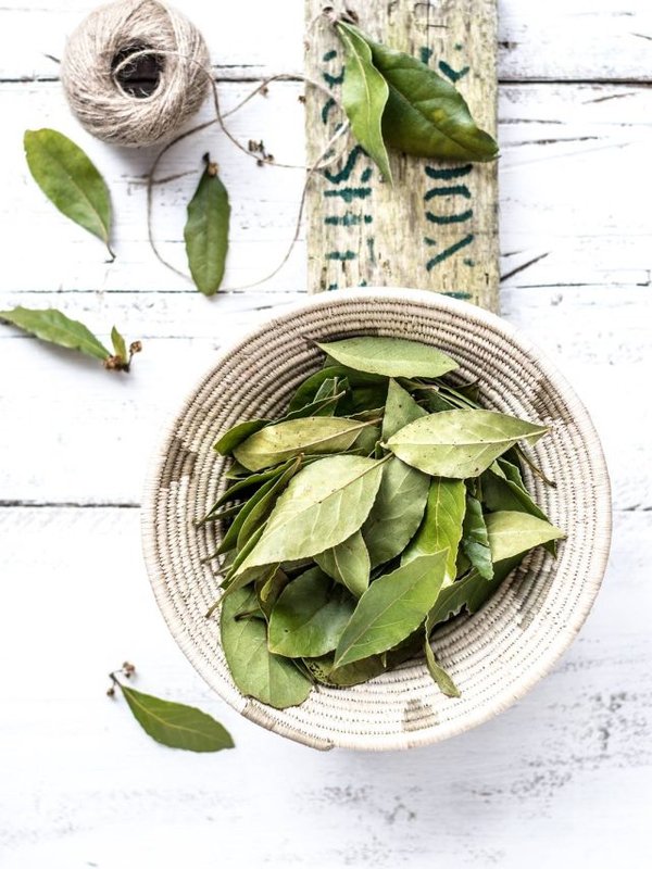 BAY LEAF BENEFITS FOR DIABETES PATIENTS