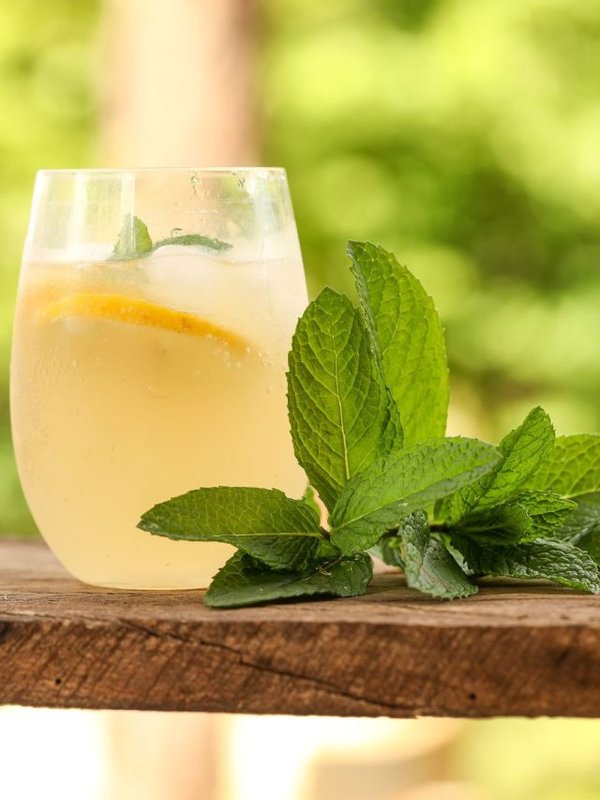 Benefits of mint leaves (1)